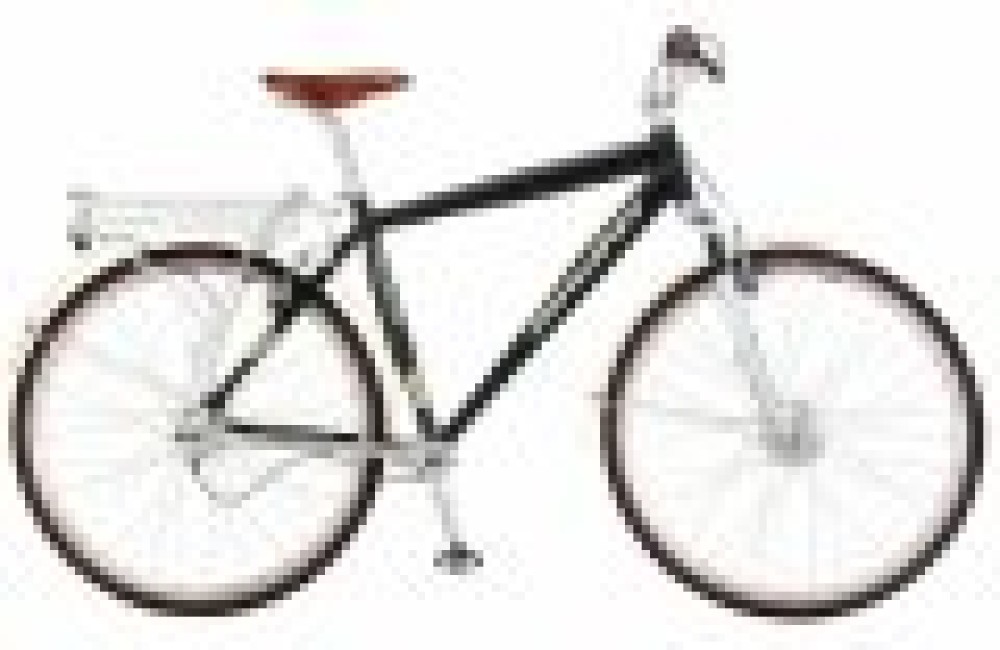 En exclusivité en Suisse: deux modèles de la marque Schwinn!