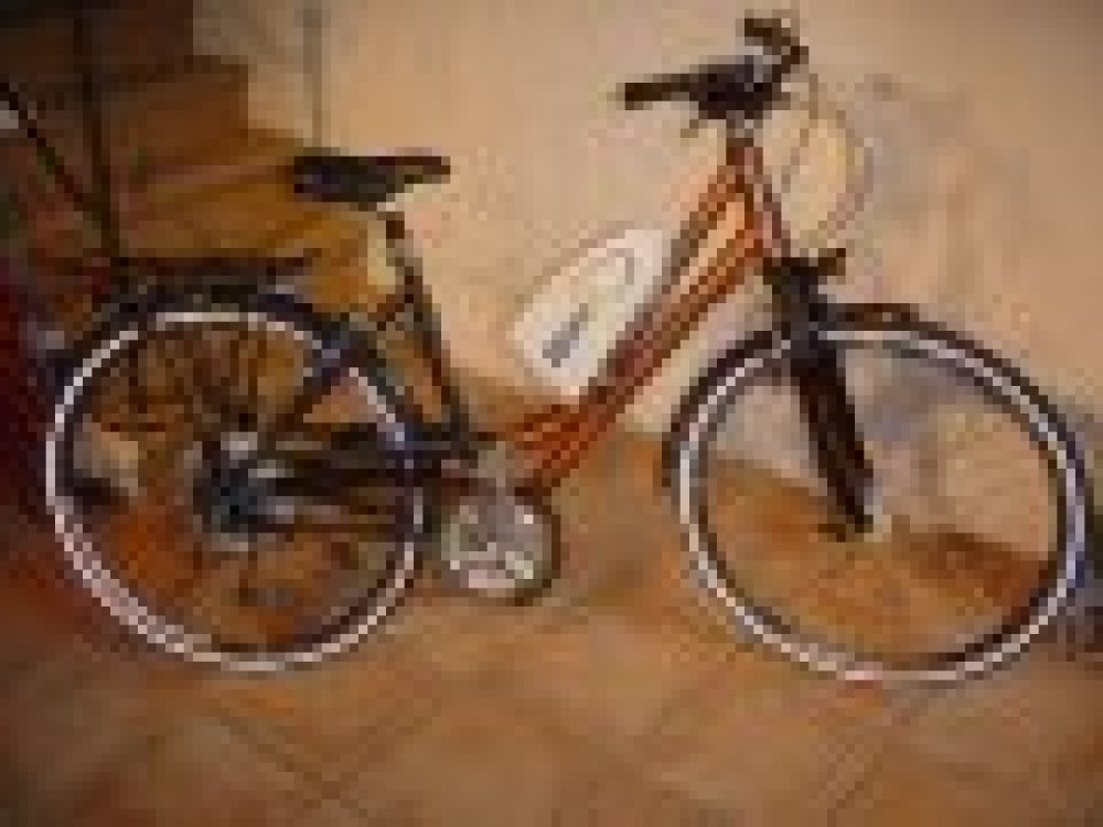 Bionx : Un nouveau modèle cadre mixte à essayer chez nous !