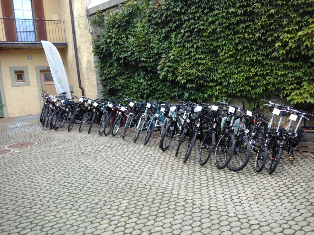 Il nous reste encore quelques belles pièces avec des rabais incroyables