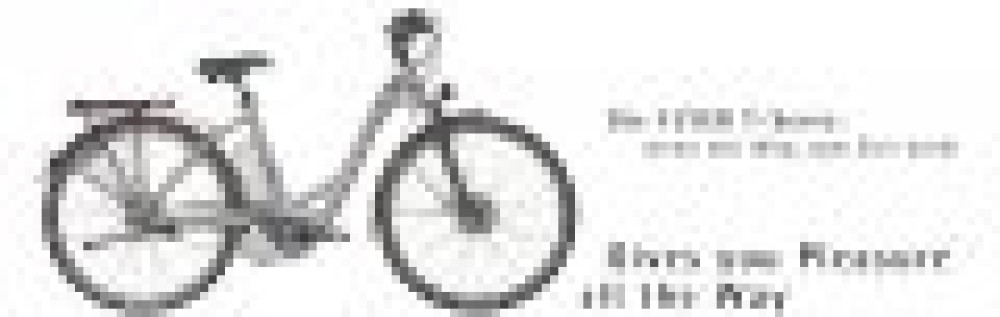 Le T4 de la prestigieuse marque Flyer est chez nous !