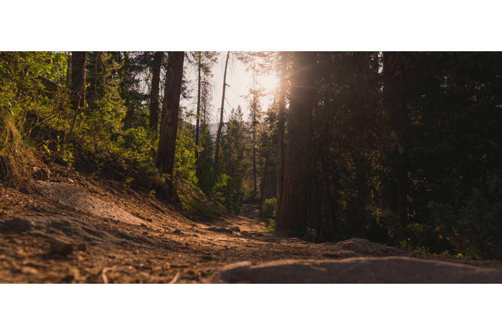 L'&eacute;t&eacute; en pente (plus ou moins) douce