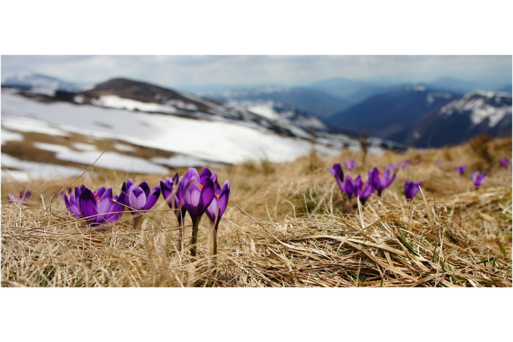 Suite aux nouvelles restrictions, voici ce qu'easycycle vous propose...